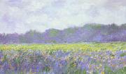 Claude Monet Field of Yellow Iris at Giverny oil painting picture wholesale